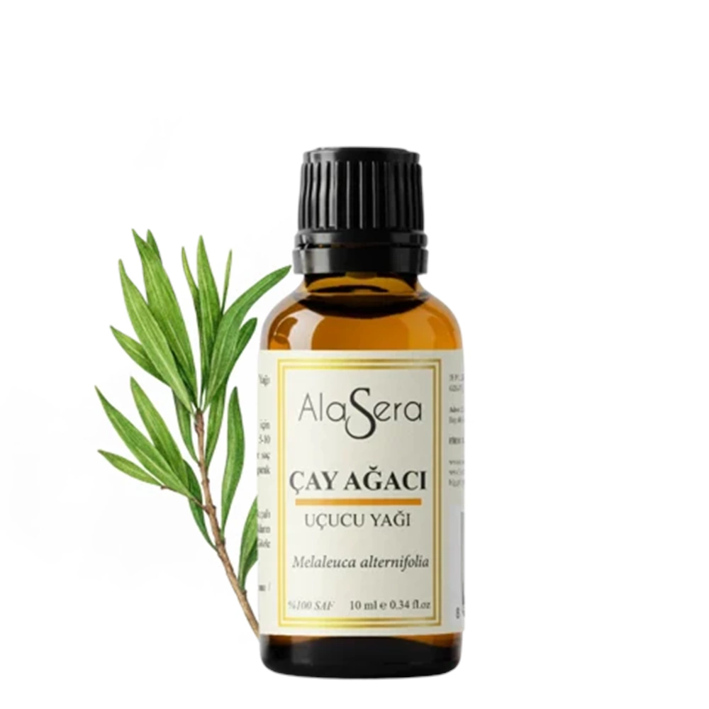 ALASERA ÇAY AĞACI 10 ML