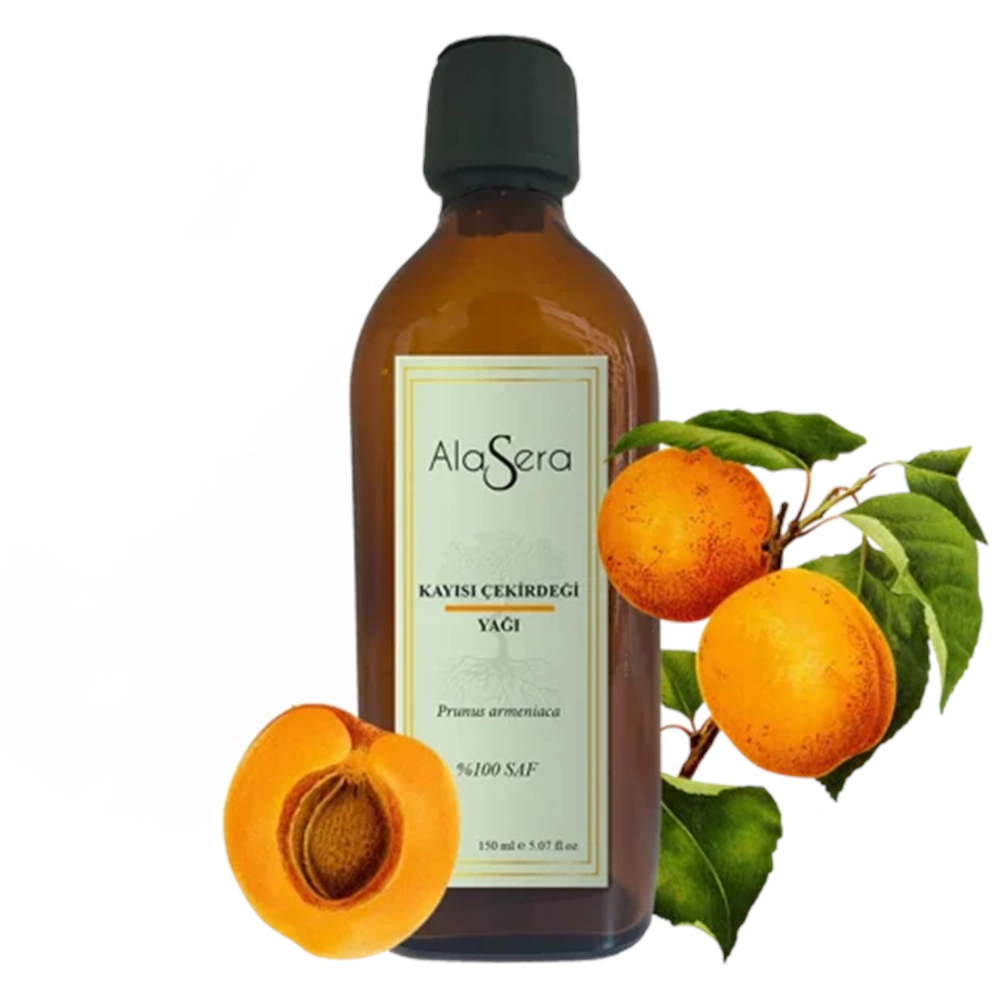ALASERA KAYISI ÇEKİRDEĞİ 150 ML