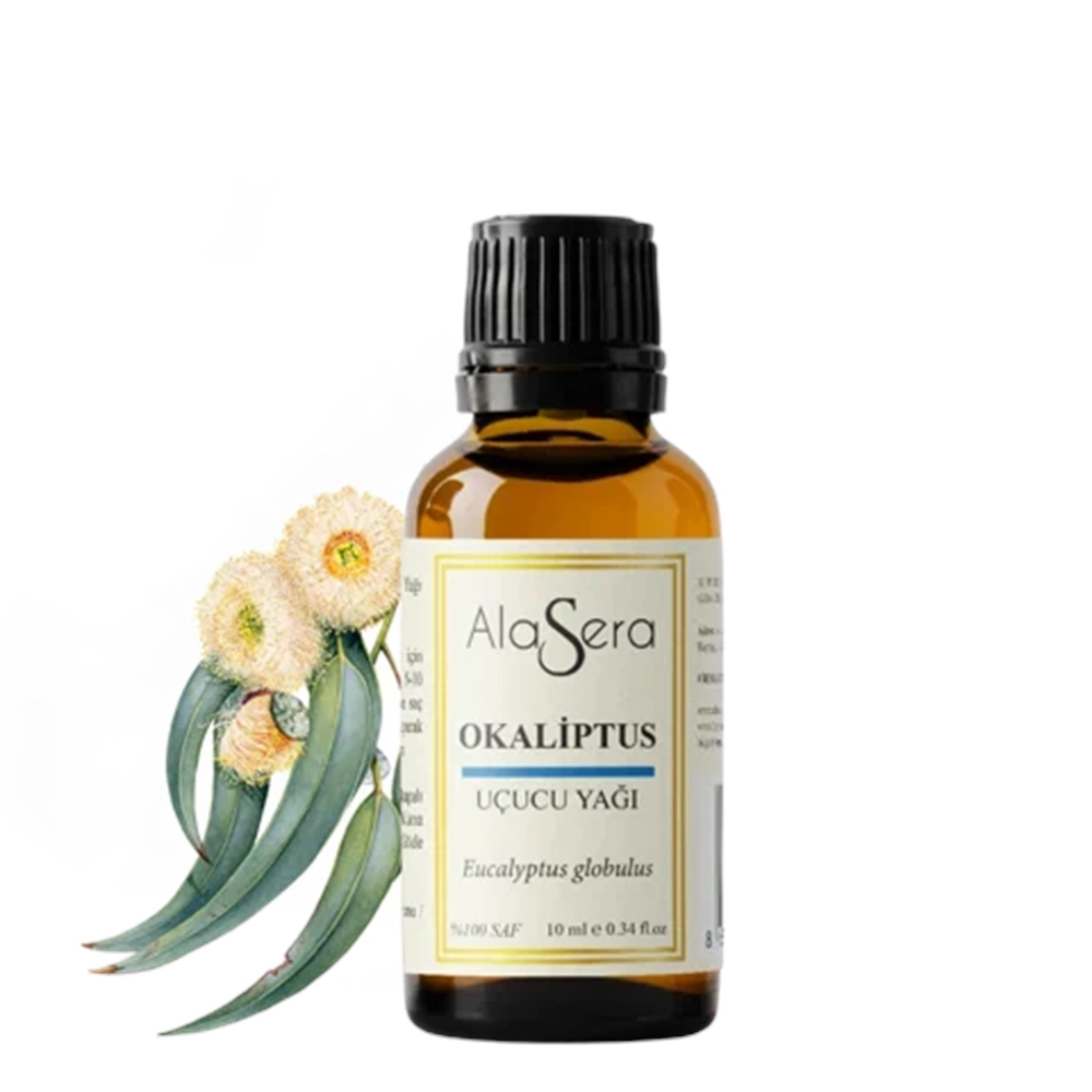 ALASERA OKALİPTUS 10 ML