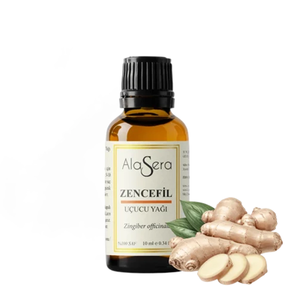 ALASERA ZENCEFİL 10 ML