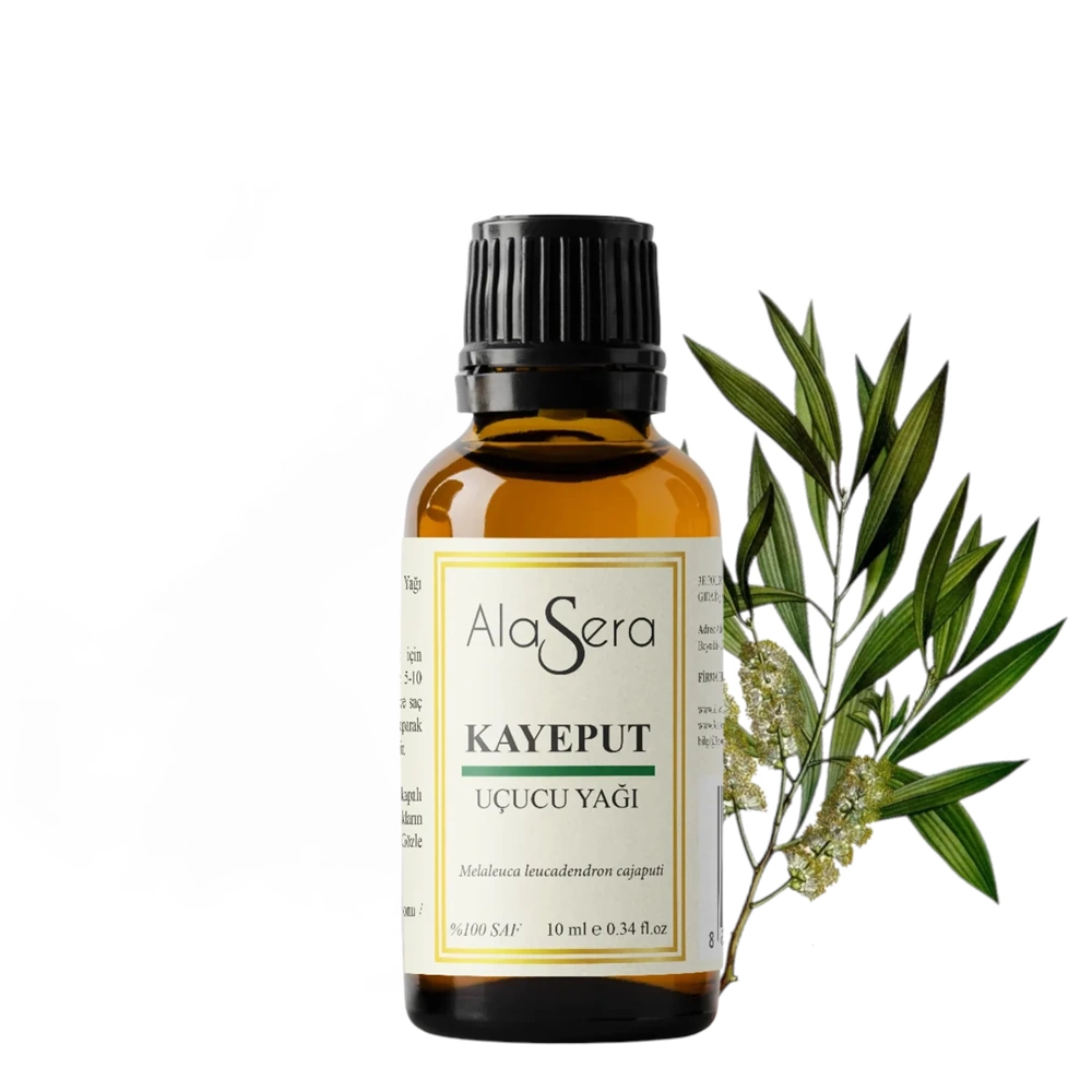 ALASERA KAYEPUT 10 ML