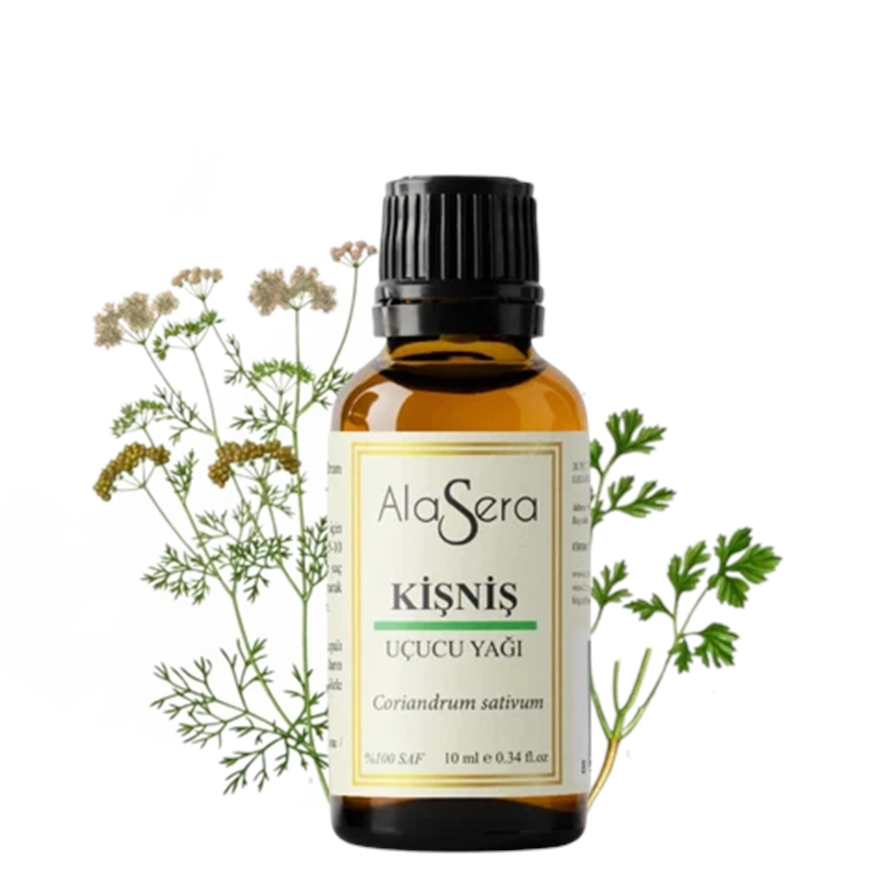 ALASERA KİŞNİŞ YAĞI 10 ML