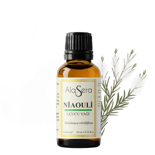 ALASERA NİAOULİ 10 ML