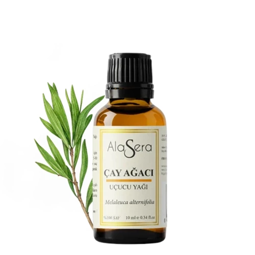 ALASERA ÇAY AĞACI 10 ML