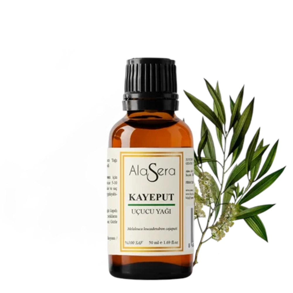 ALASERA KAYEPUT 50 ML